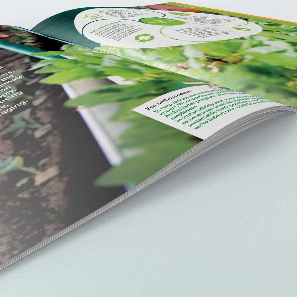 Woolworths: Sustainability Report - Design Davey